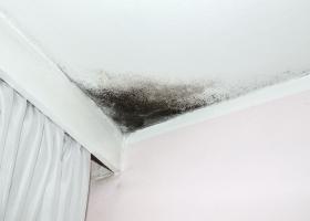 Mold and your home