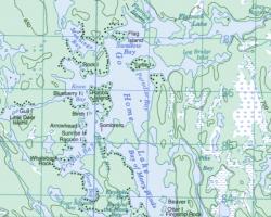 Topographical Map of Go Home Lake