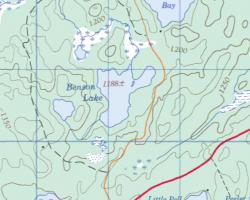 Topographical Map of Benson Lake