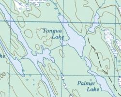 Topographical Map of Tongua Lake