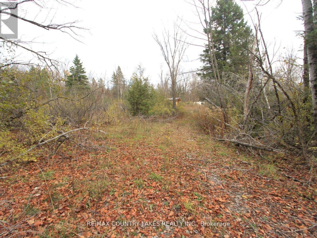 LT3 RAMBLEWOOD TRAIL, Kawartha Lakes (Bexley)