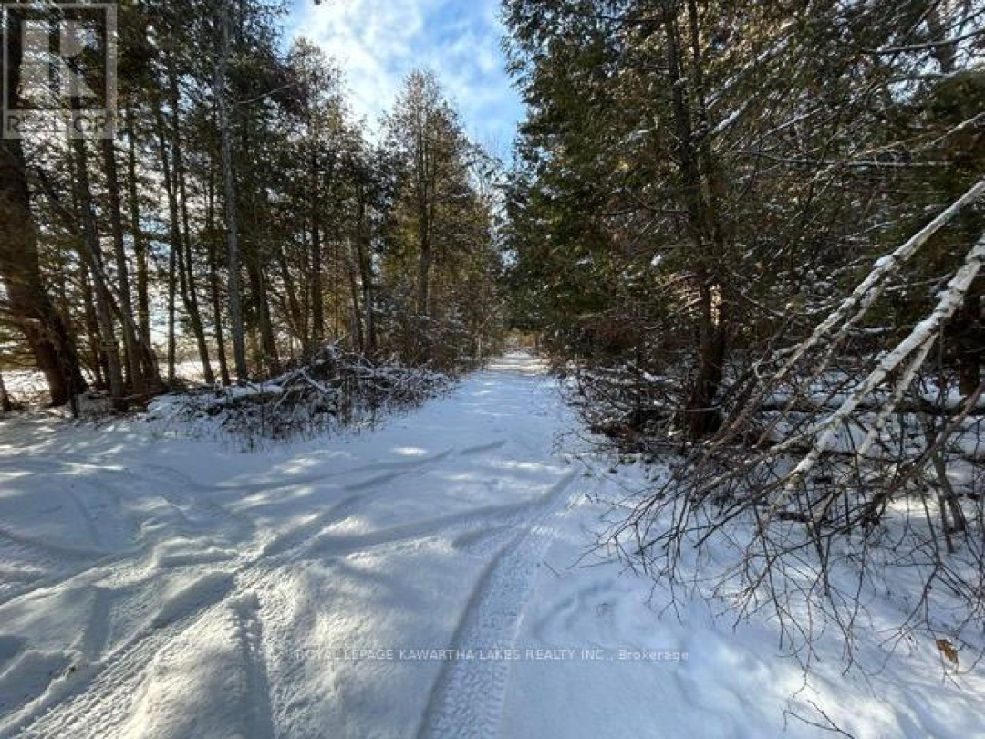 PTLT 29 CONCESSION 8,