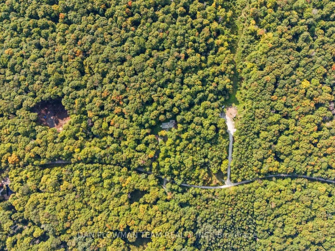 1409 BASSHAUNT LAKE ROAD,