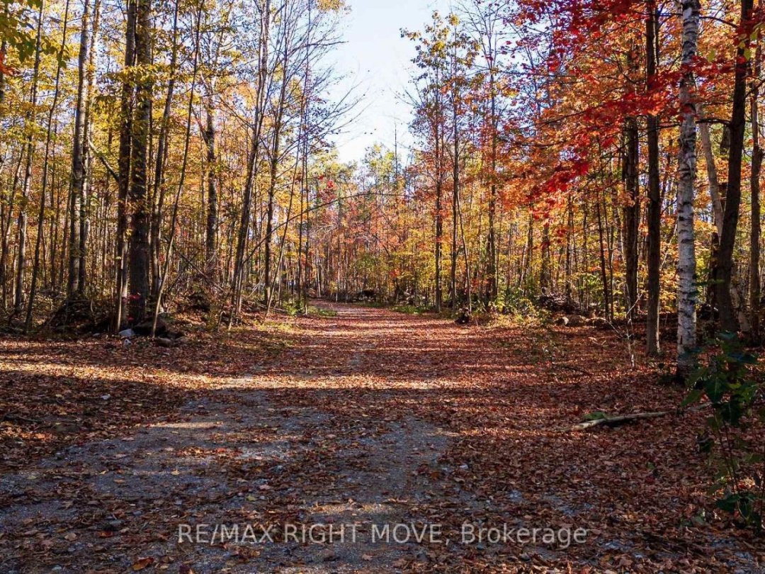 2085 MONCK ROAD,