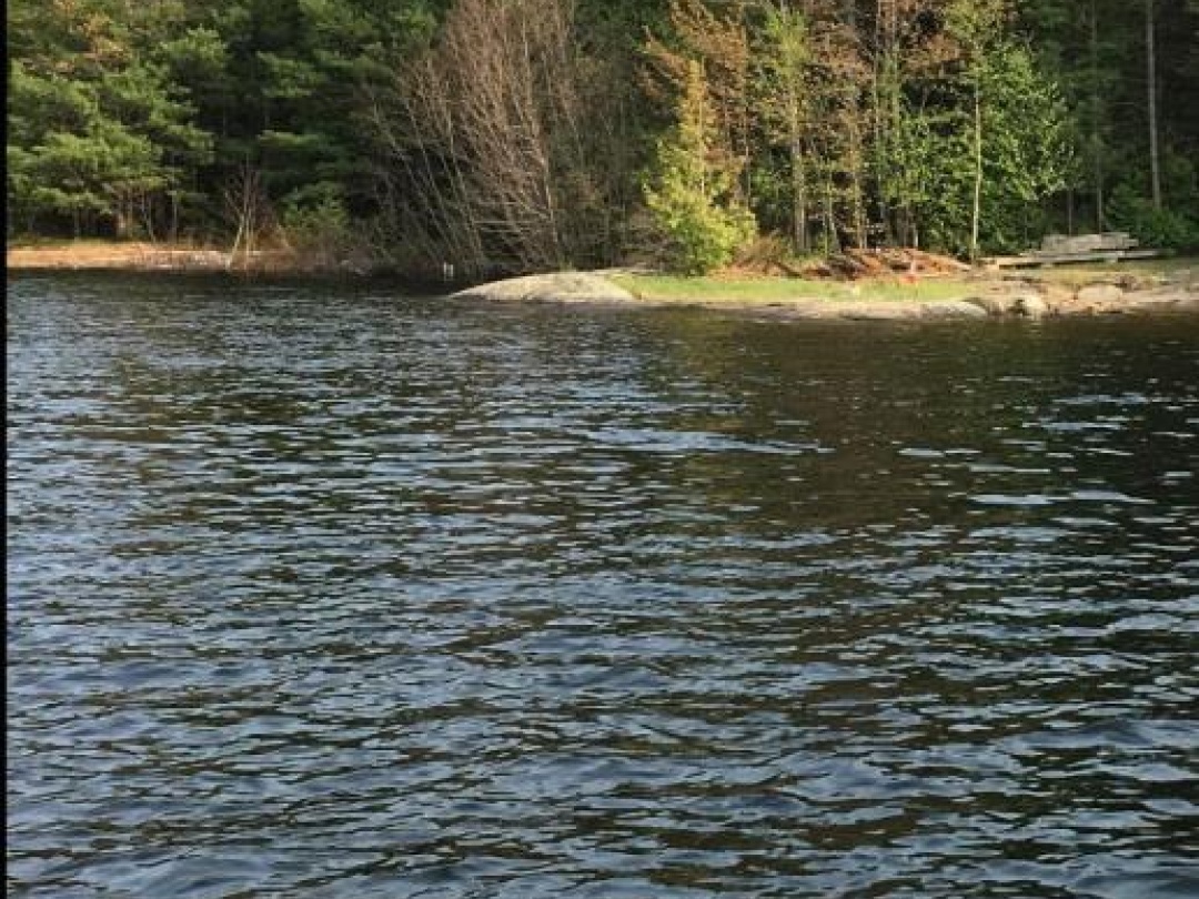 15212 GEORGIAN BAY SHORE ISLAND,