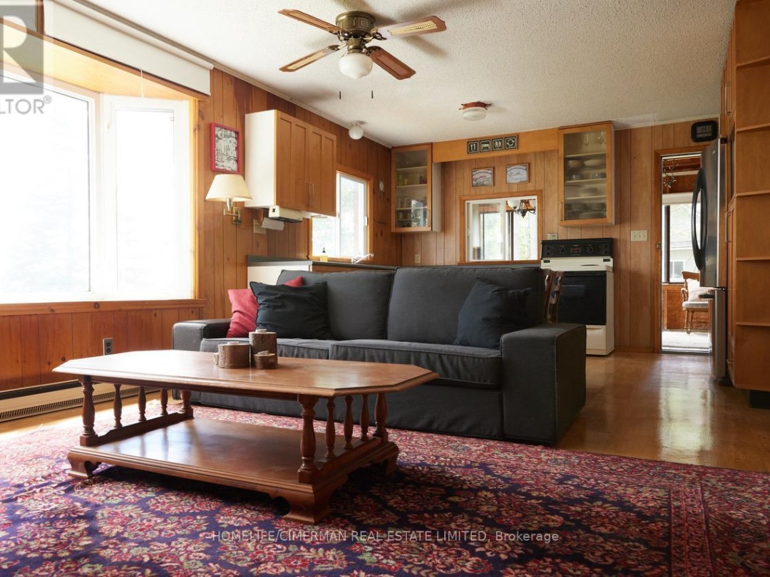98 MCLEISH DRIVE, Young Lake