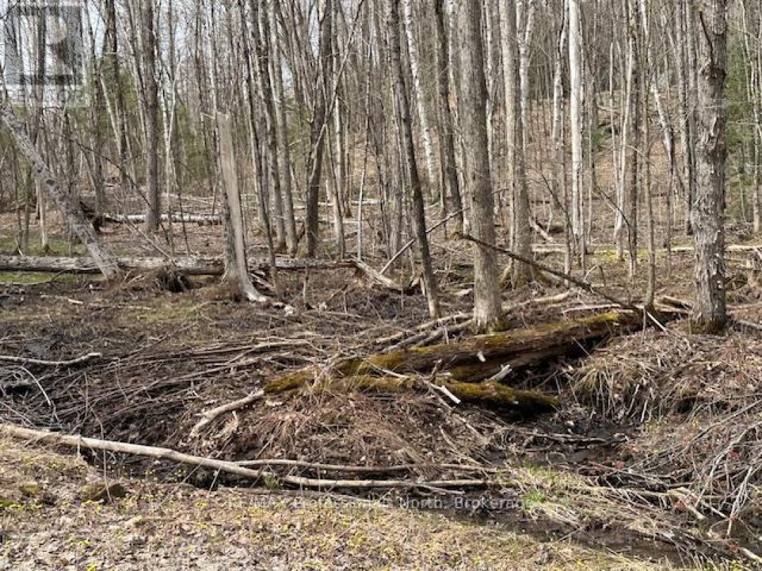 LOT SILVERWOOD ROAD,