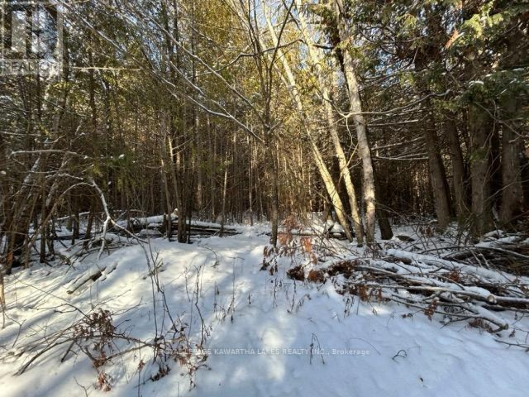 PTLT 29 CONCESSION 8,