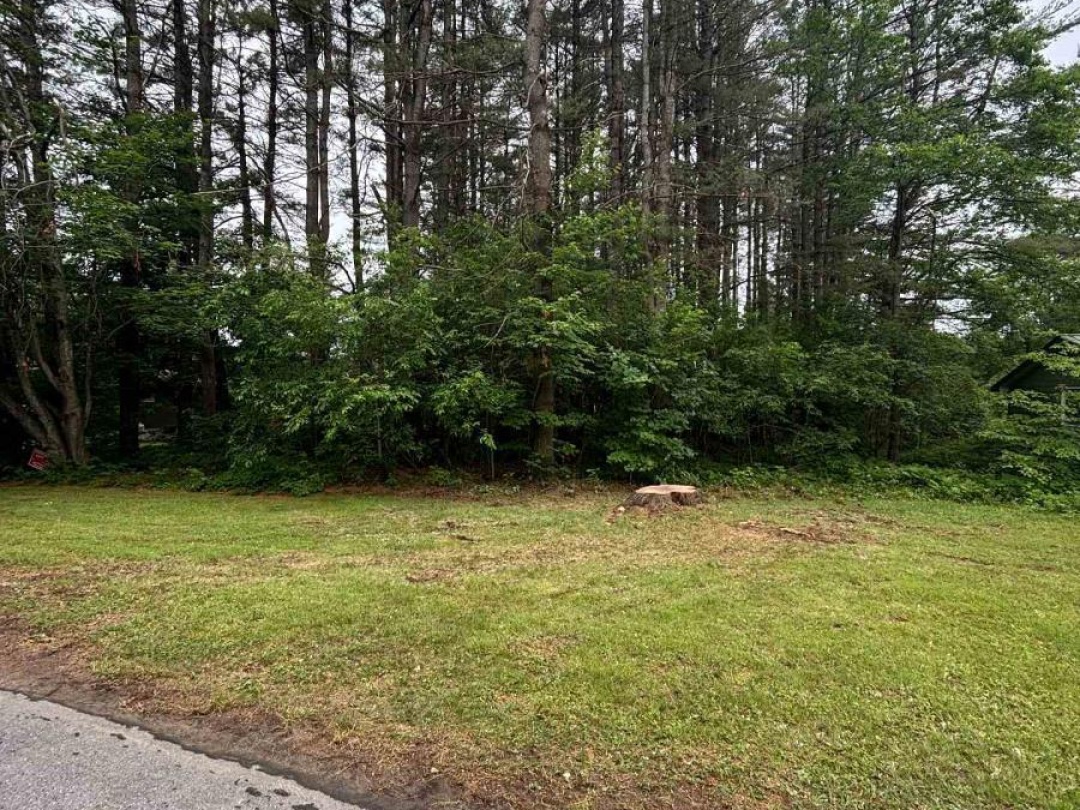 124 FREDERICK STREET,