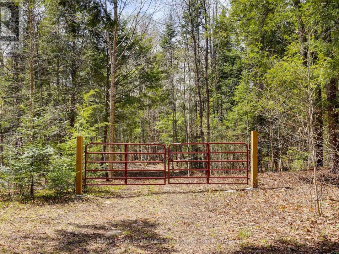 0 LOCHLIN ROAD, Minden Hills (Minden)