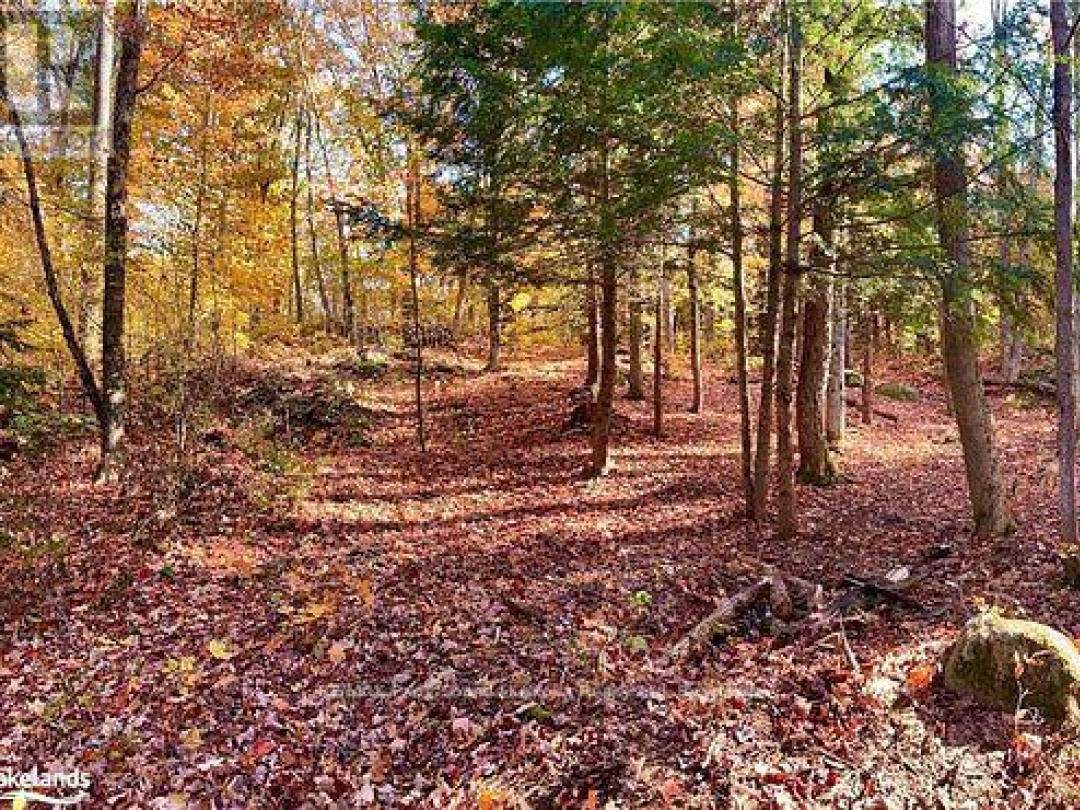 60 HAWKSVIEW LANE, Faris Lake