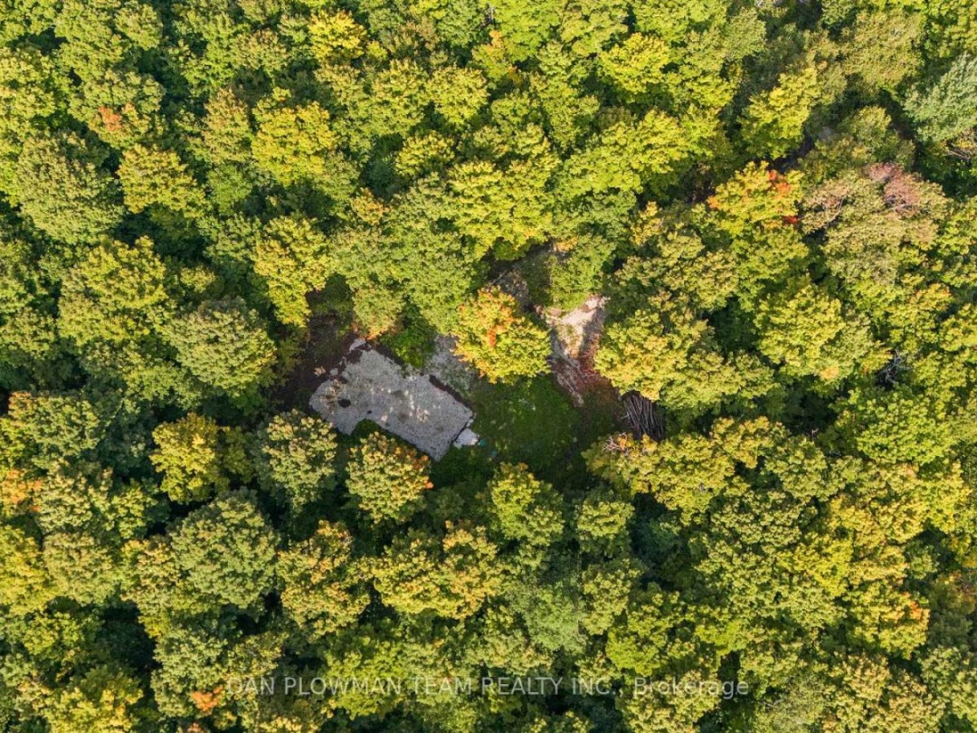 1409 BASSHAUNT LAKE ROAD,