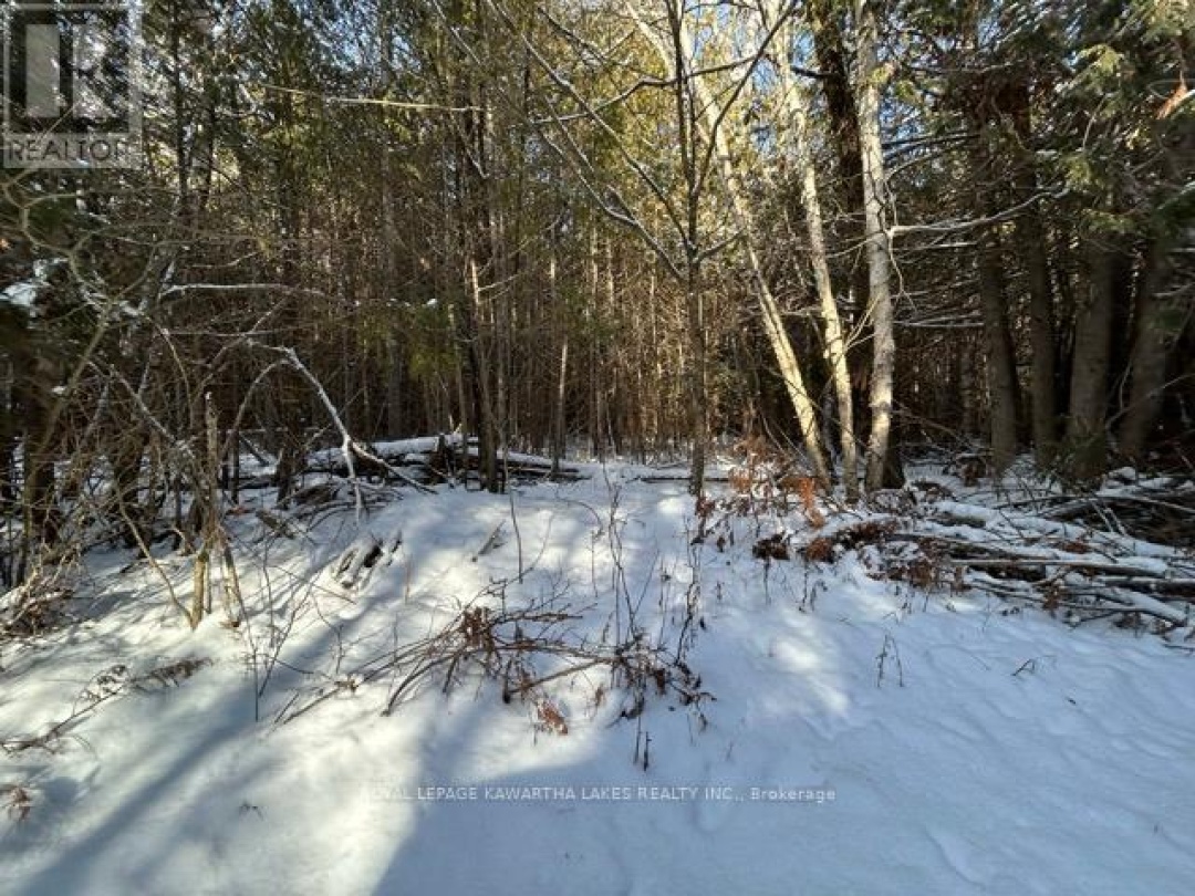 PTLT 29 CONCESSION 8,