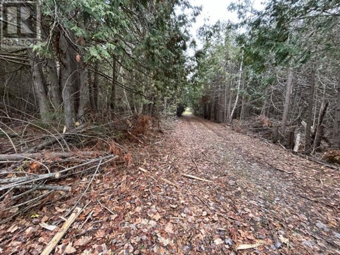 PTLT 29 CONCESSION 8,