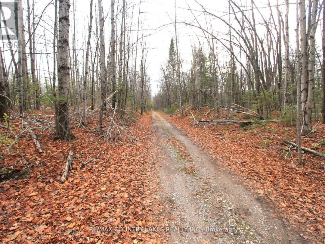 LT3 RAMBLEWOOD TRAIL, Kawartha Lakes (Bexley)