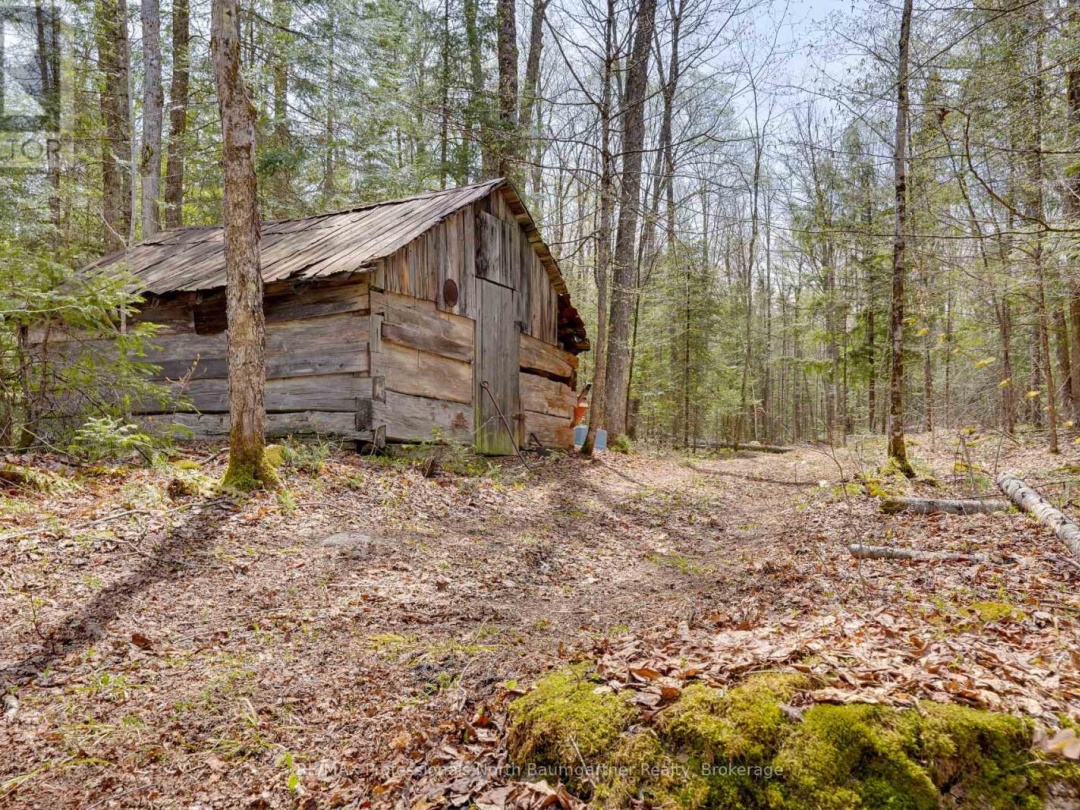 0 LOCHLIN ROAD, Minden Hills (Minden)