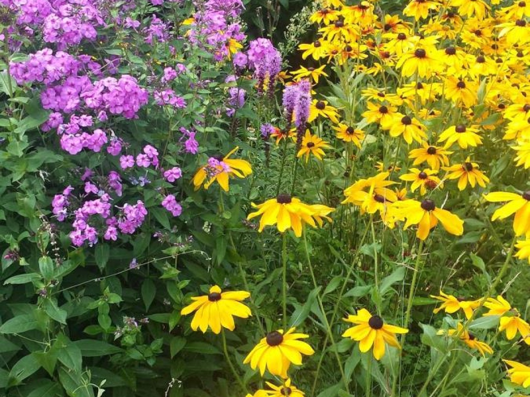 1046 LUTTERWORTH PINES ROAD,