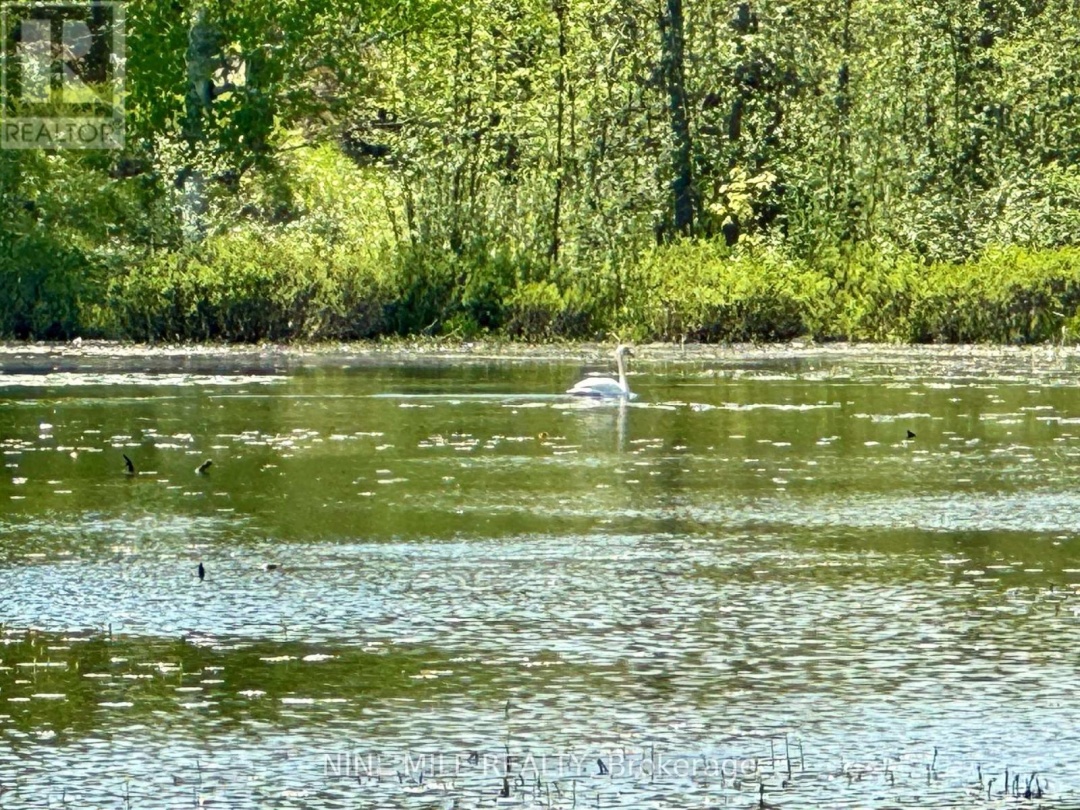 2699 COOPERS FALLS ROAD,