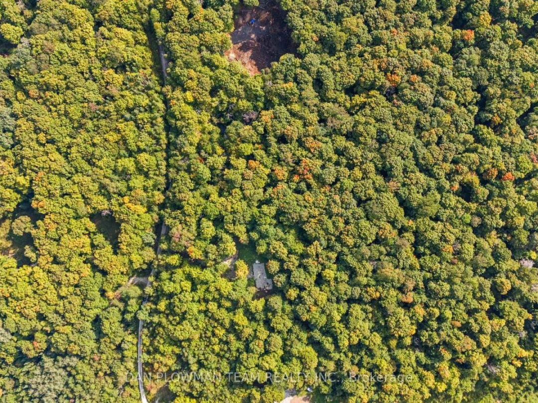 1409 BASSHAUNT LAKE ROAD,