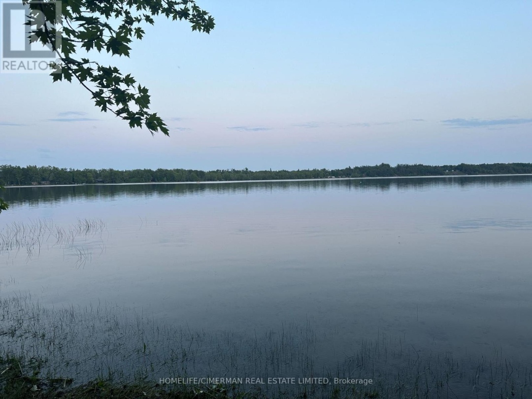 98 MCLEISH DRIVE, Young Lake