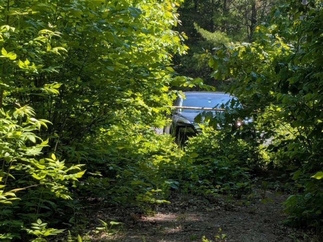 559 HONEY HARBOUR ROAD, Georgian Bay