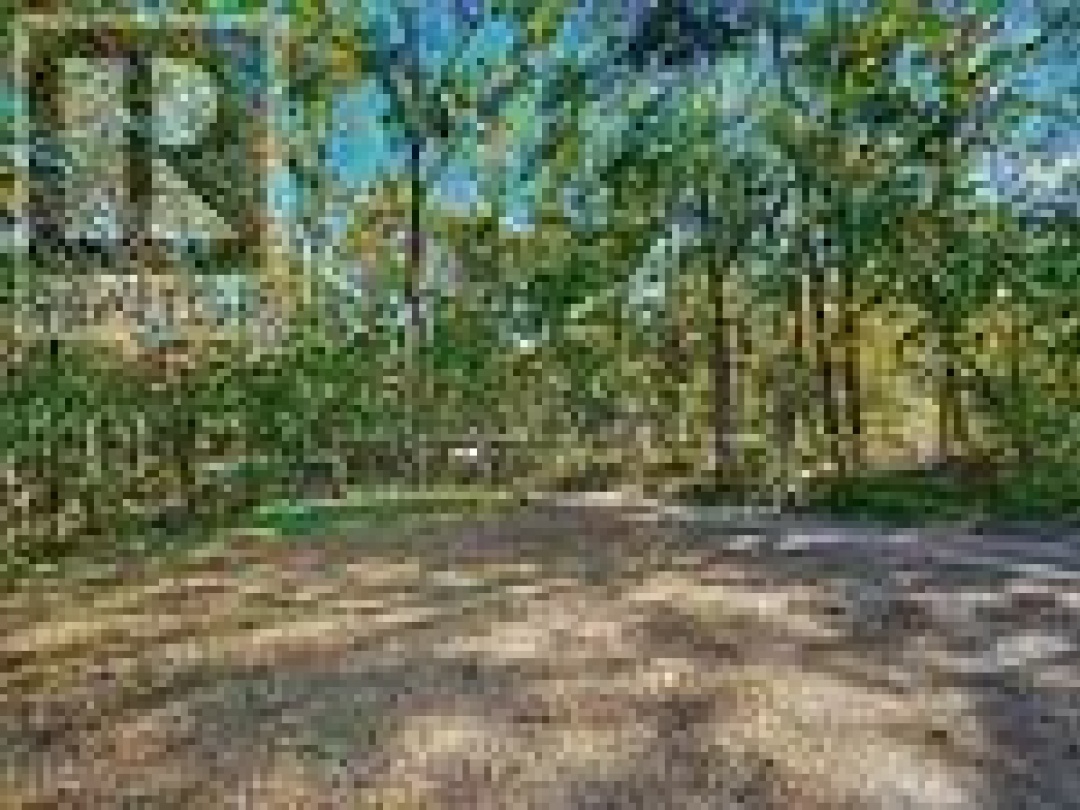 125 NORTHERN AVENUE, Trent Lakes