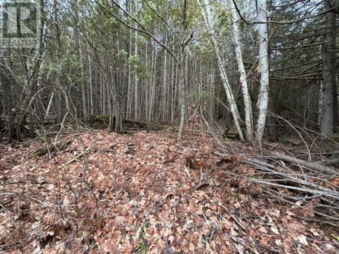 PTLT 29 CONCESSION 8,