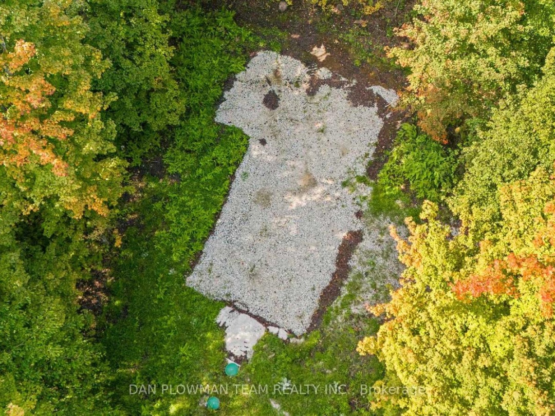 1409 BASSHAUNT LAKE ROAD,