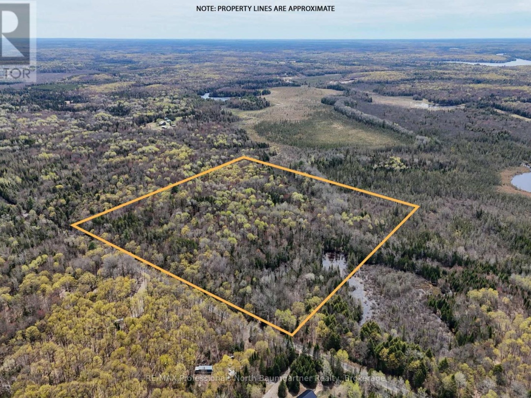 0 LOCHLIN ROAD, Minden Hills (Minden)