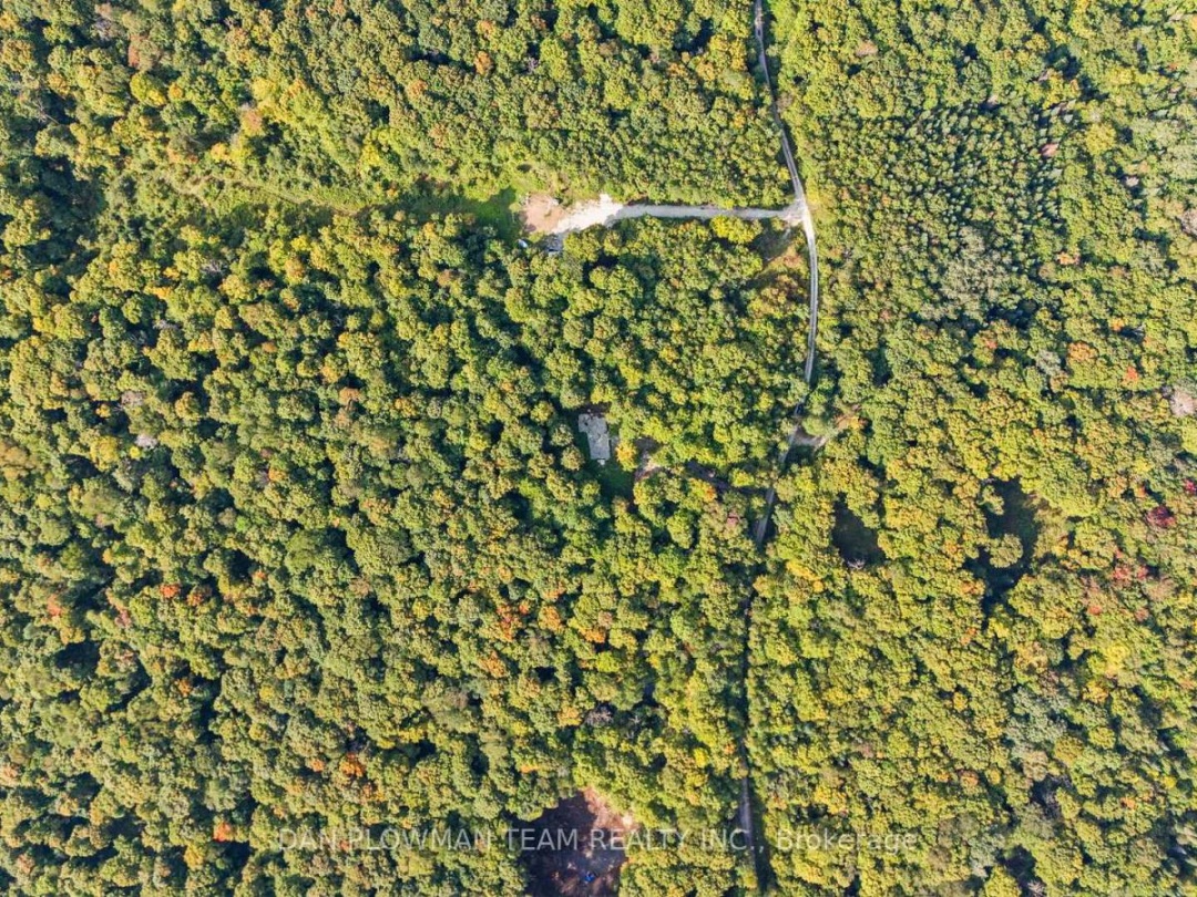 1409 BASSHAUNT LAKE ROAD,