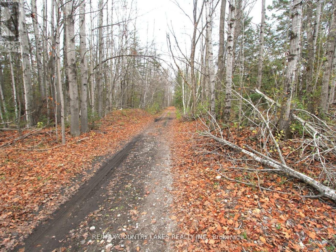 LT3 RAMBLEWOOD TRAIL, Kawartha Lakes (Bexley)