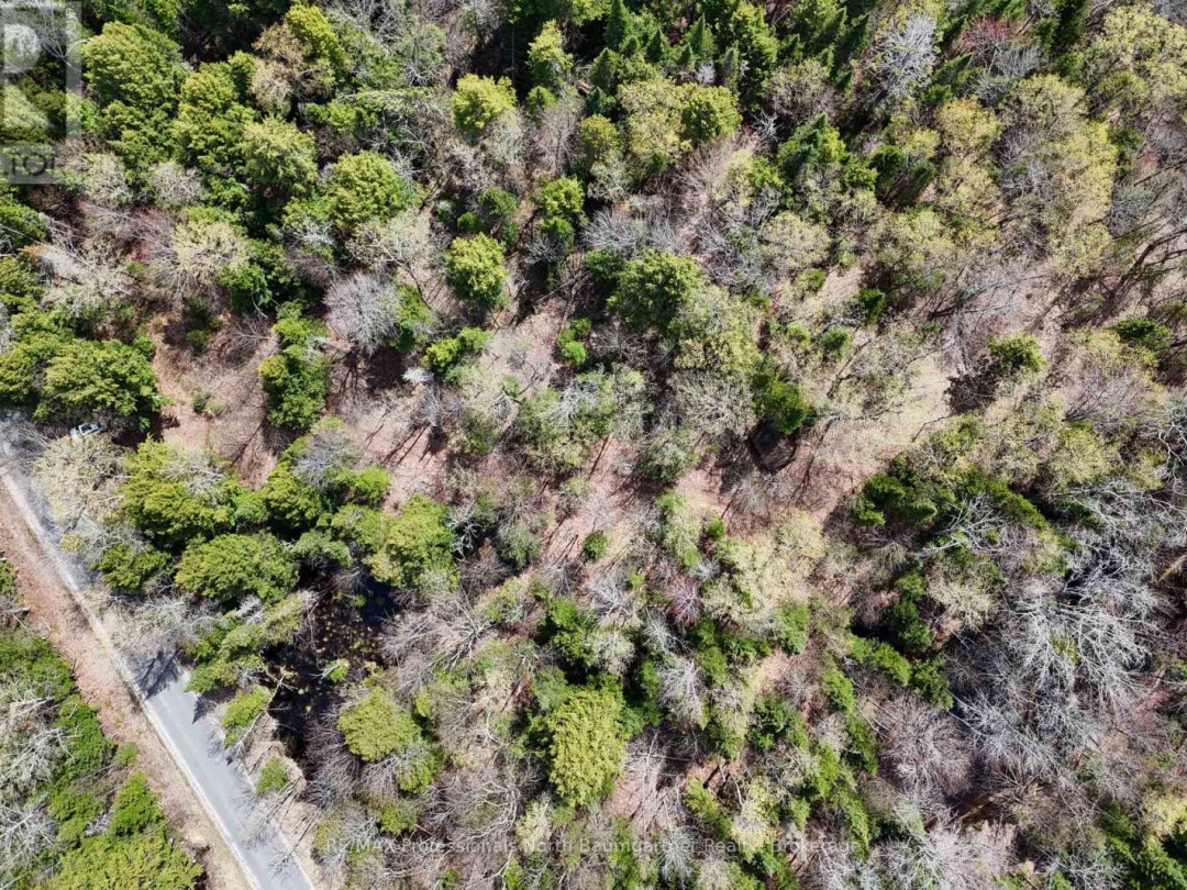 0 LOCHLIN ROAD, Minden Hills (Minden)