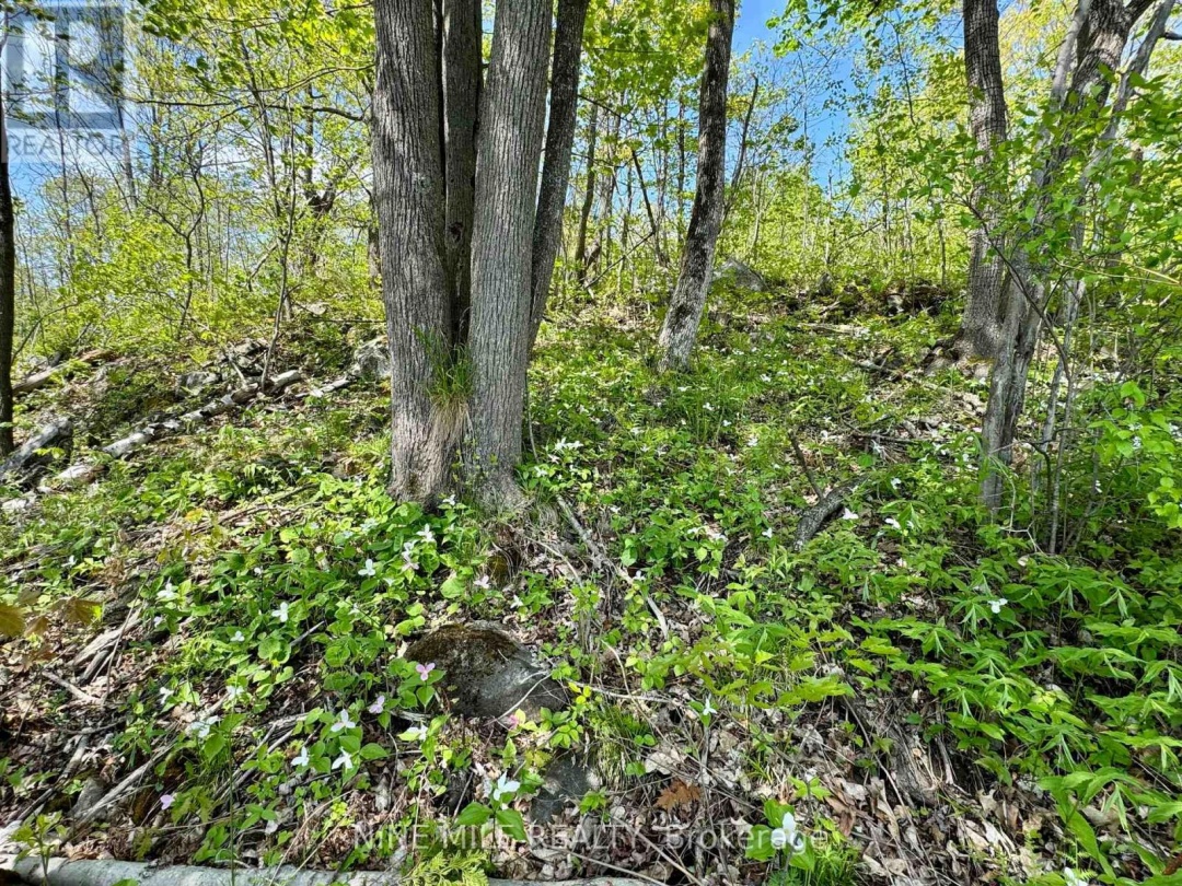 2699 COOPERS FALLS ROAD,