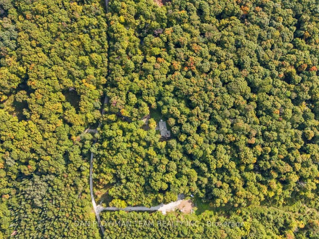 1409 BASSHAUNT LAKE ROAD,