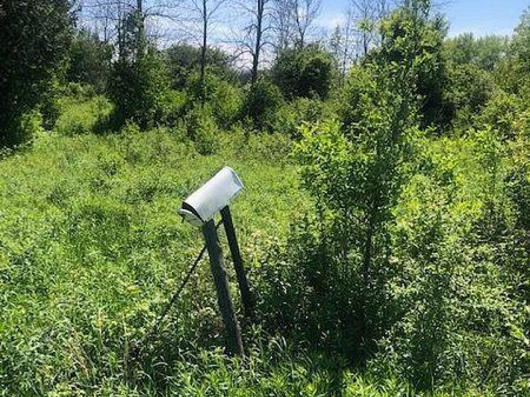 1630 THORAH CONCESSION 9 ROAD,