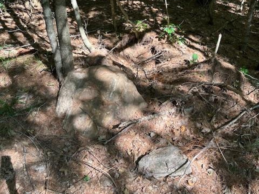 2875 COUNTY ROAD 21 ROAD,