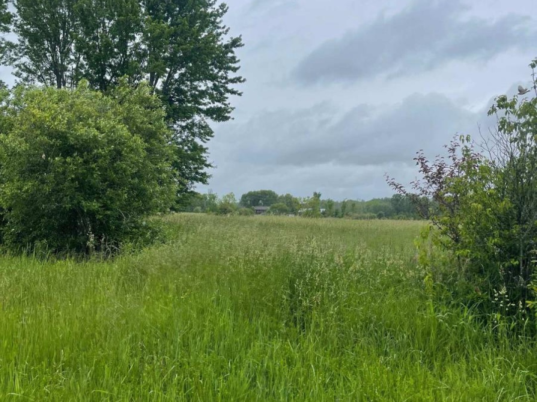 1744 BALKWILL LINE, Severn
