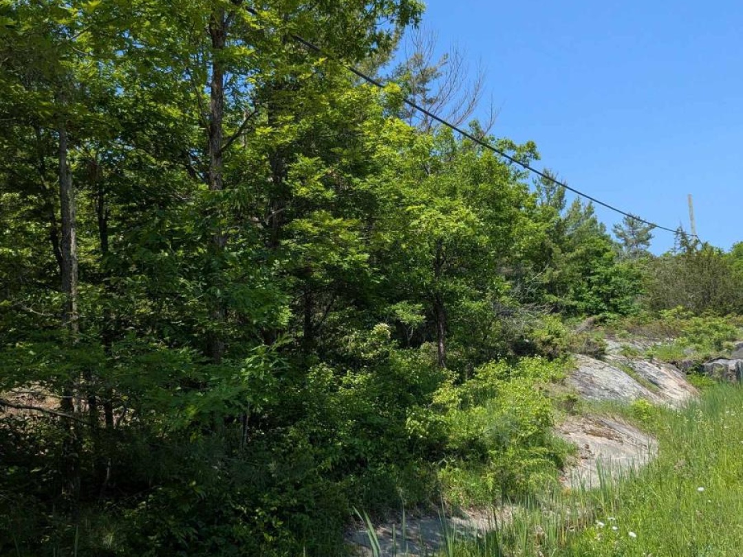 559 HONEY HARBOUR ROAD, Georgian Bay