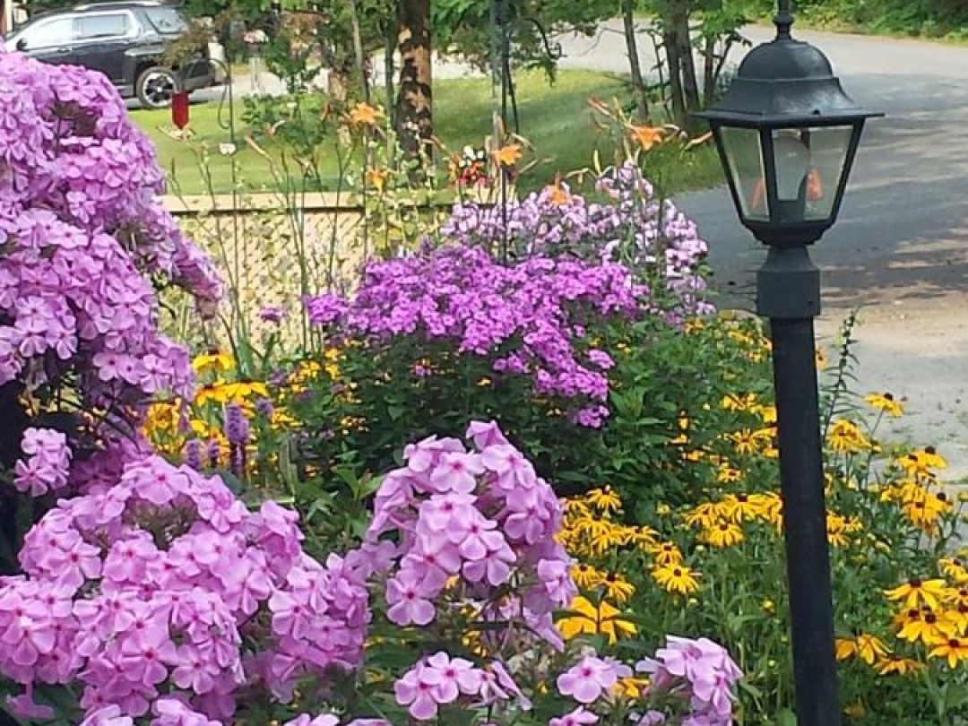 1046 LUTTERWORTH PINES ROAD,