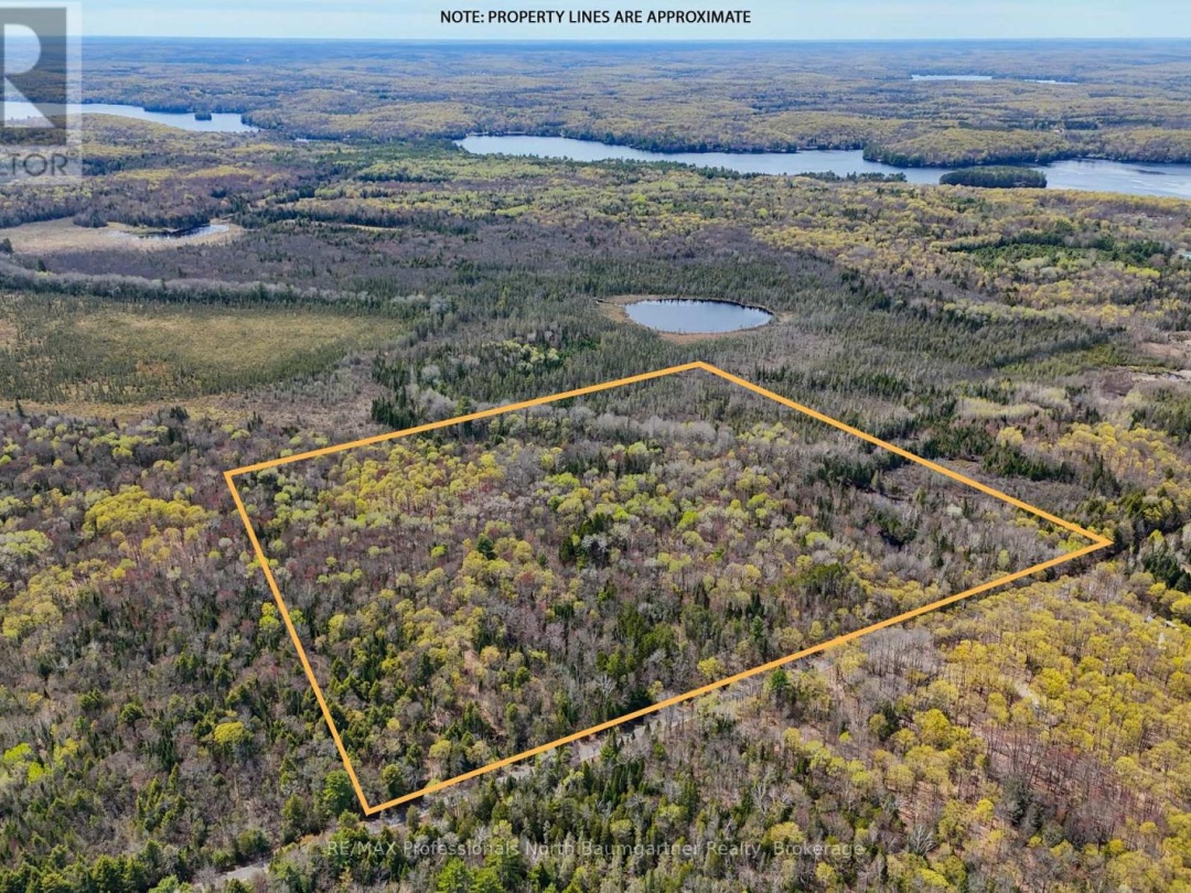 0 LOCHLIN ROAD, Minden Hills (Minden)