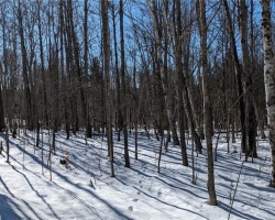 Property for Sale on Lot 1 Tally Ho Winter Park Road, Lake Of Bays