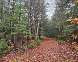 Property for Sale on 0 King Lake Road, South River