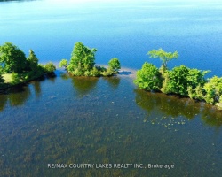 Property for Sale on Lt 1 Island, Kawartha Lakes