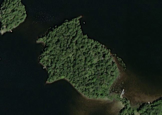 Aerial Map of Deer Island Island on Paint Lake
