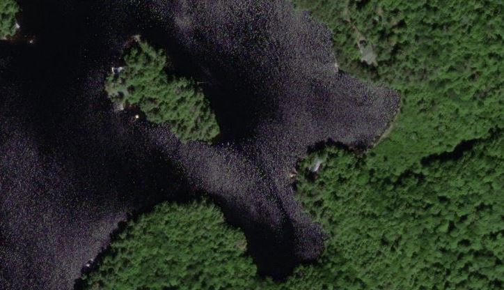 Aerial Map of Halbusal Island  Island on Prospect Lake