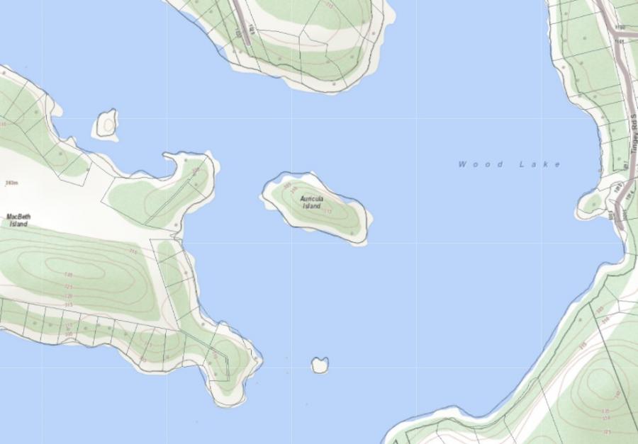 Topographical Map of Auricula Island Island on Wood Lake