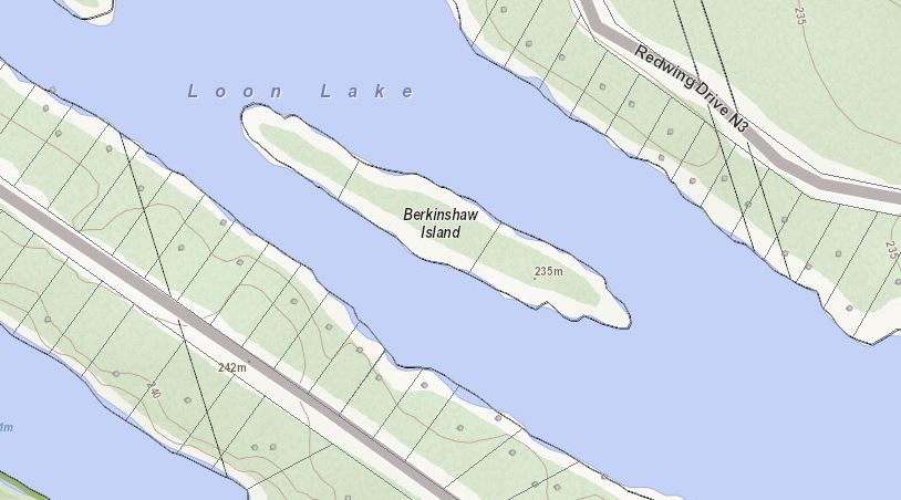 Topographical Map of Berkinshaw Island Island on Loon Lake