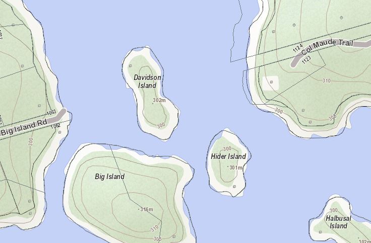 Topographical Map of Davidson Island Island on Prospect Lake