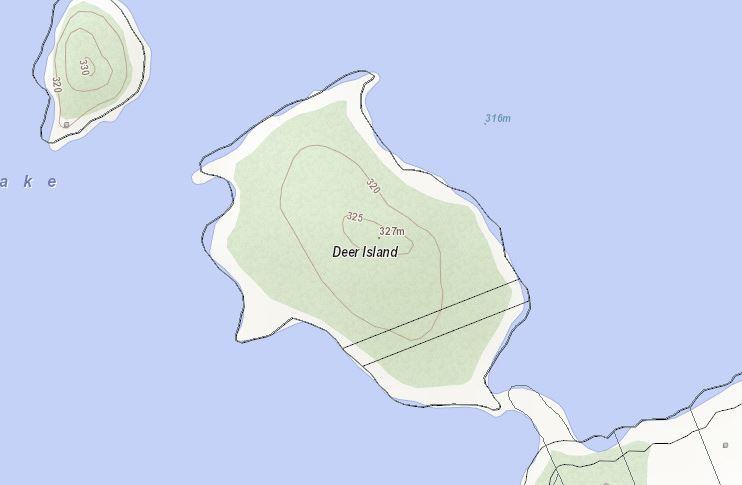 Topographical Map of Deer Island Island on Paint Lake