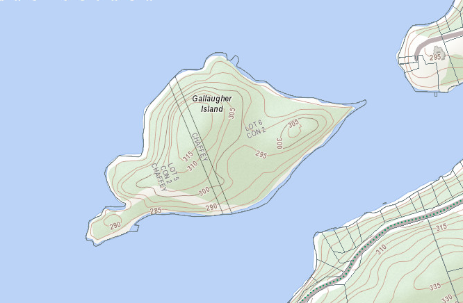 Topographical Map of Gallaugher Island Island on Lake Vernon